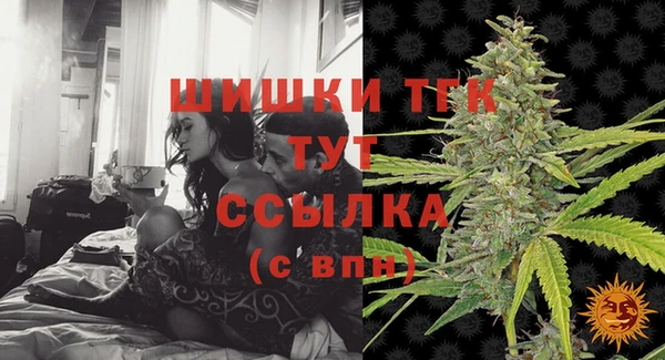 прущие грибы Новодвинск